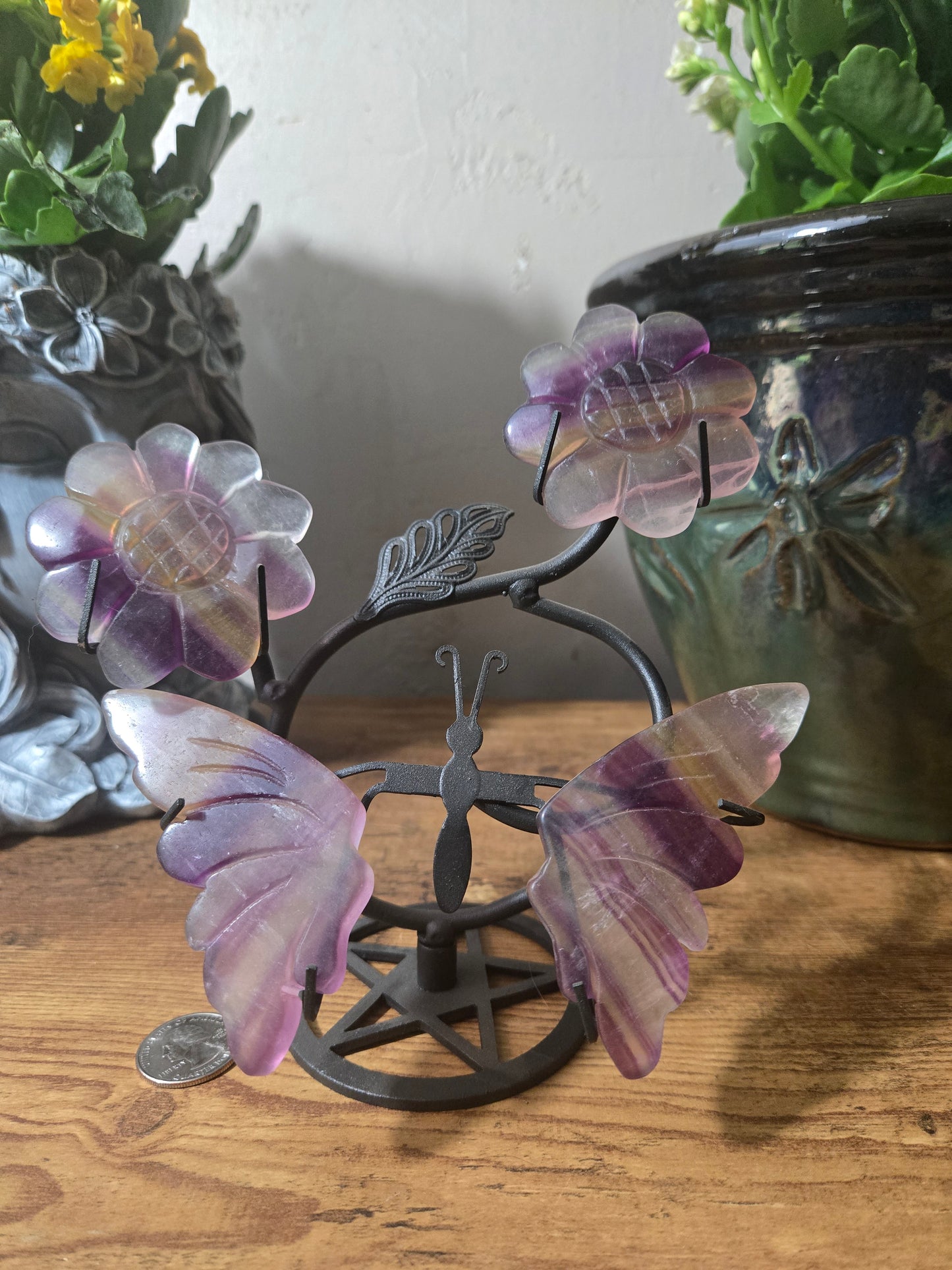 Fluorite Wings and Flowers