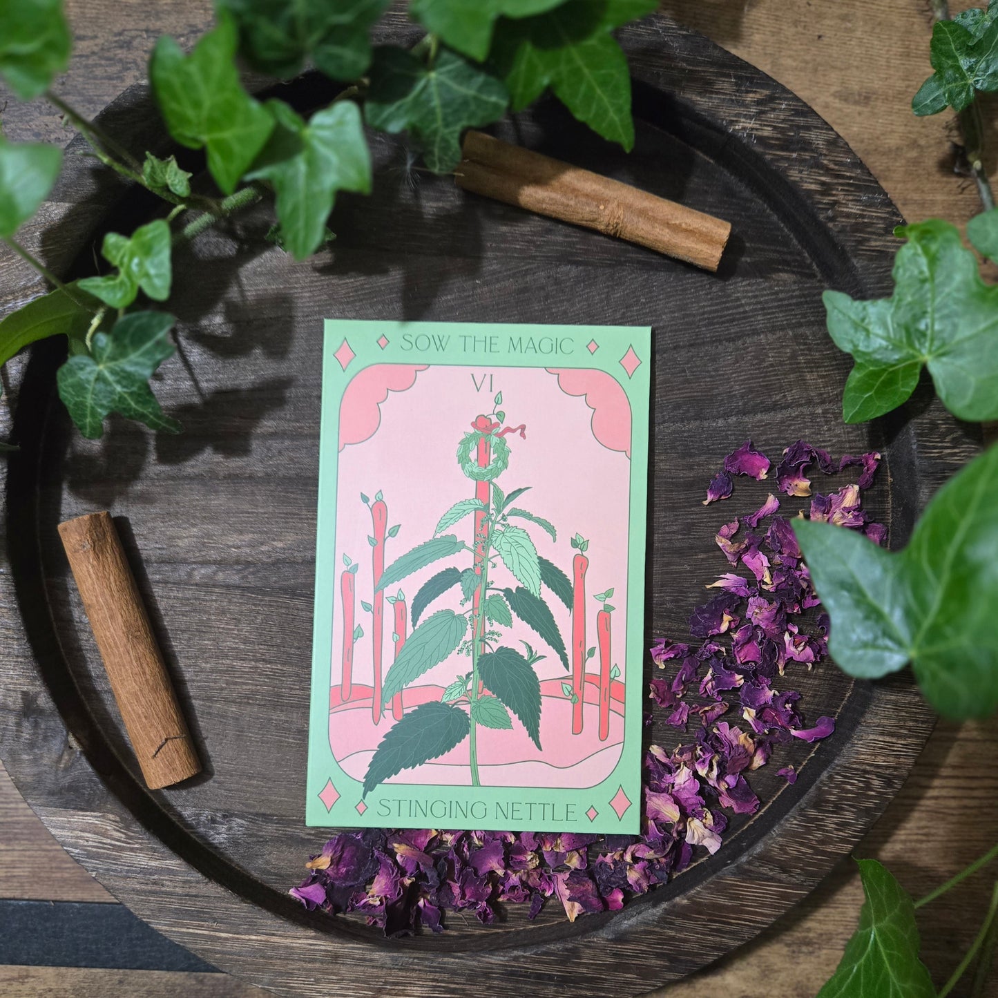 Herb Garden Tarot Seeds