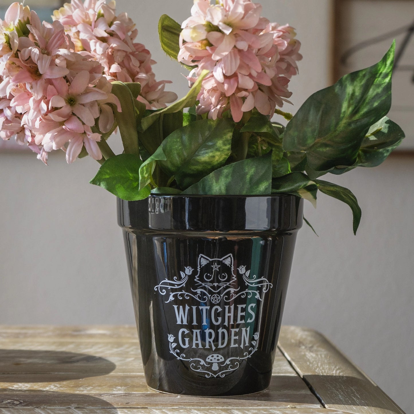 Witches Garden Planter