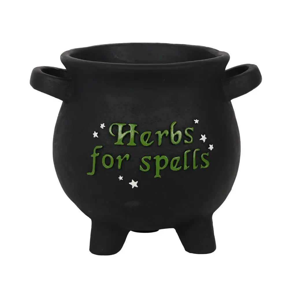 Herbs for Spells Cauldron Planter