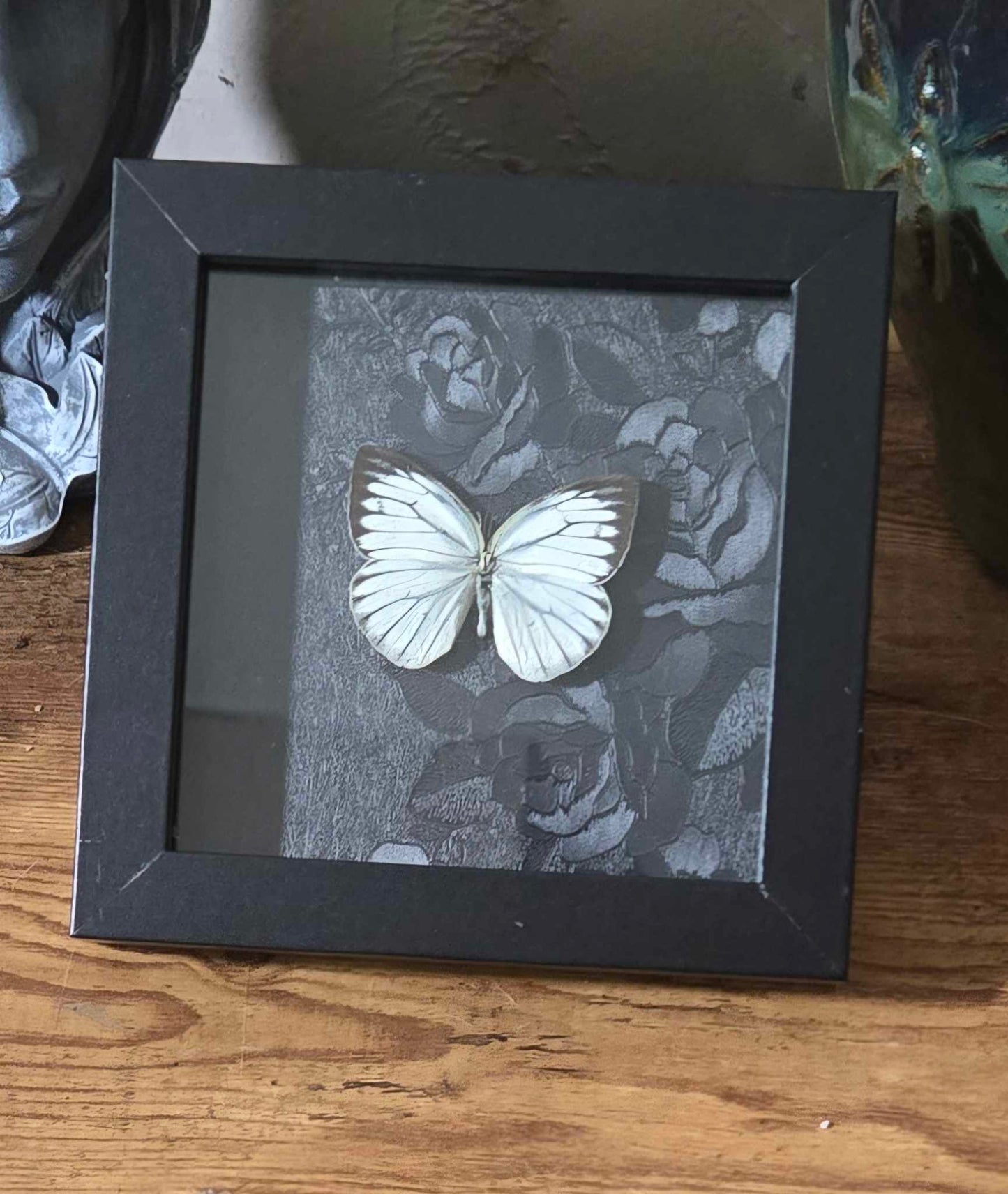Butterfly Specimen Shadow Box