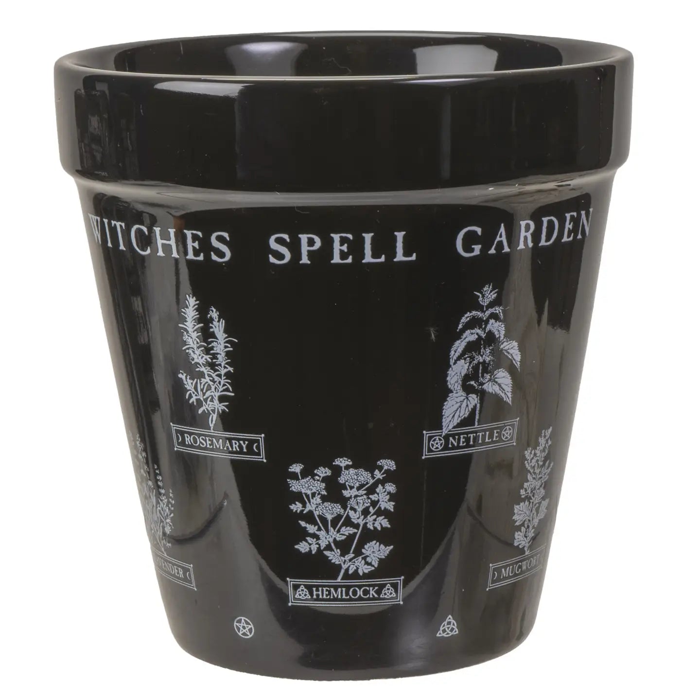 Witch's Spell Garden Planter