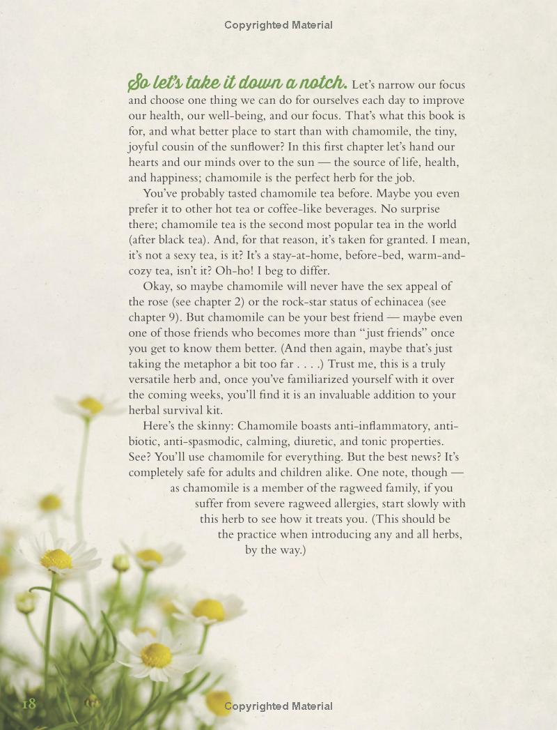 Herbal Goddess: Discover the Amazing Spirit of 12 Healing Herbs with Teas, Potions, Salves, Food, Yoga, and More