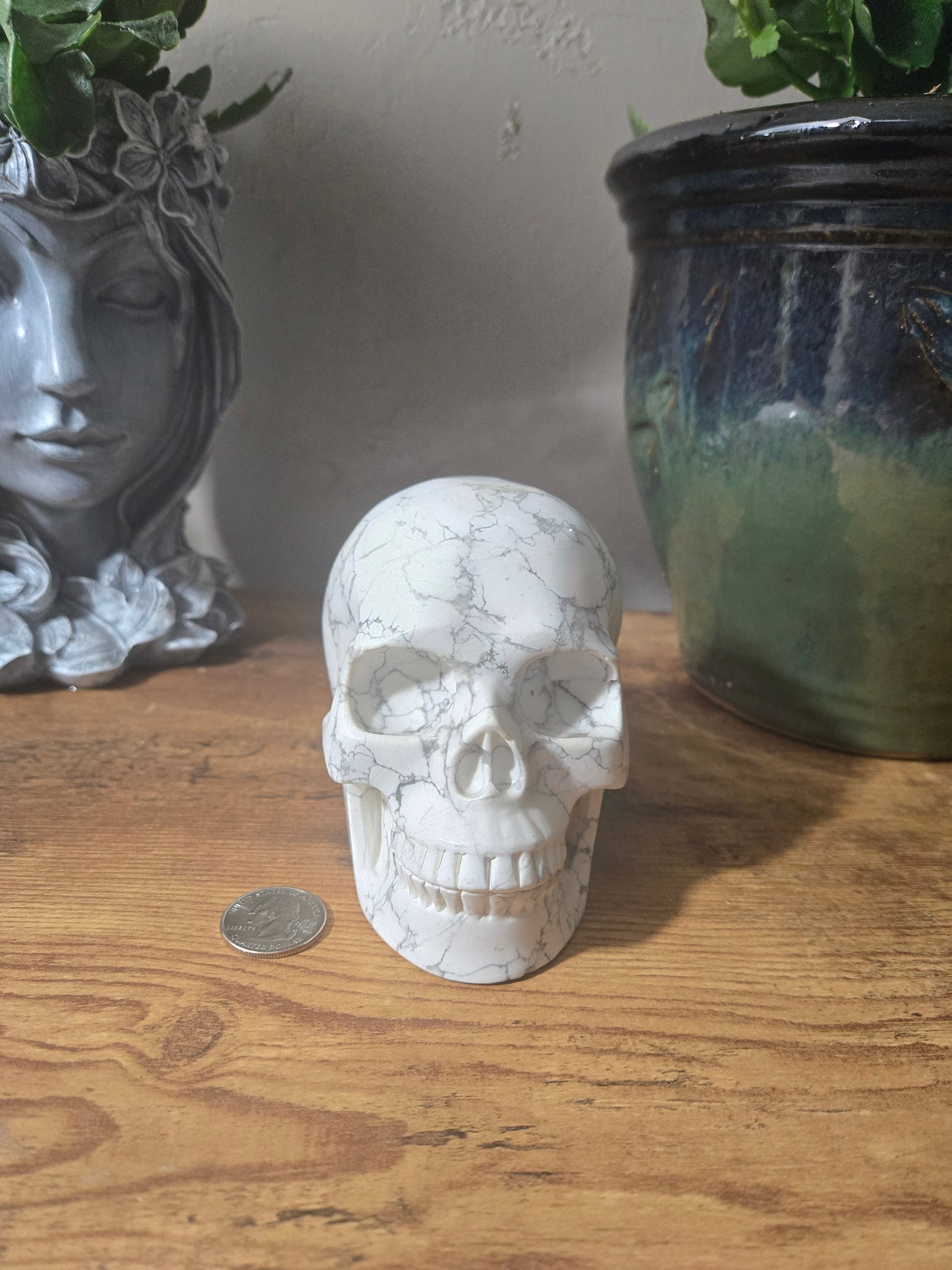 Howlite Skull