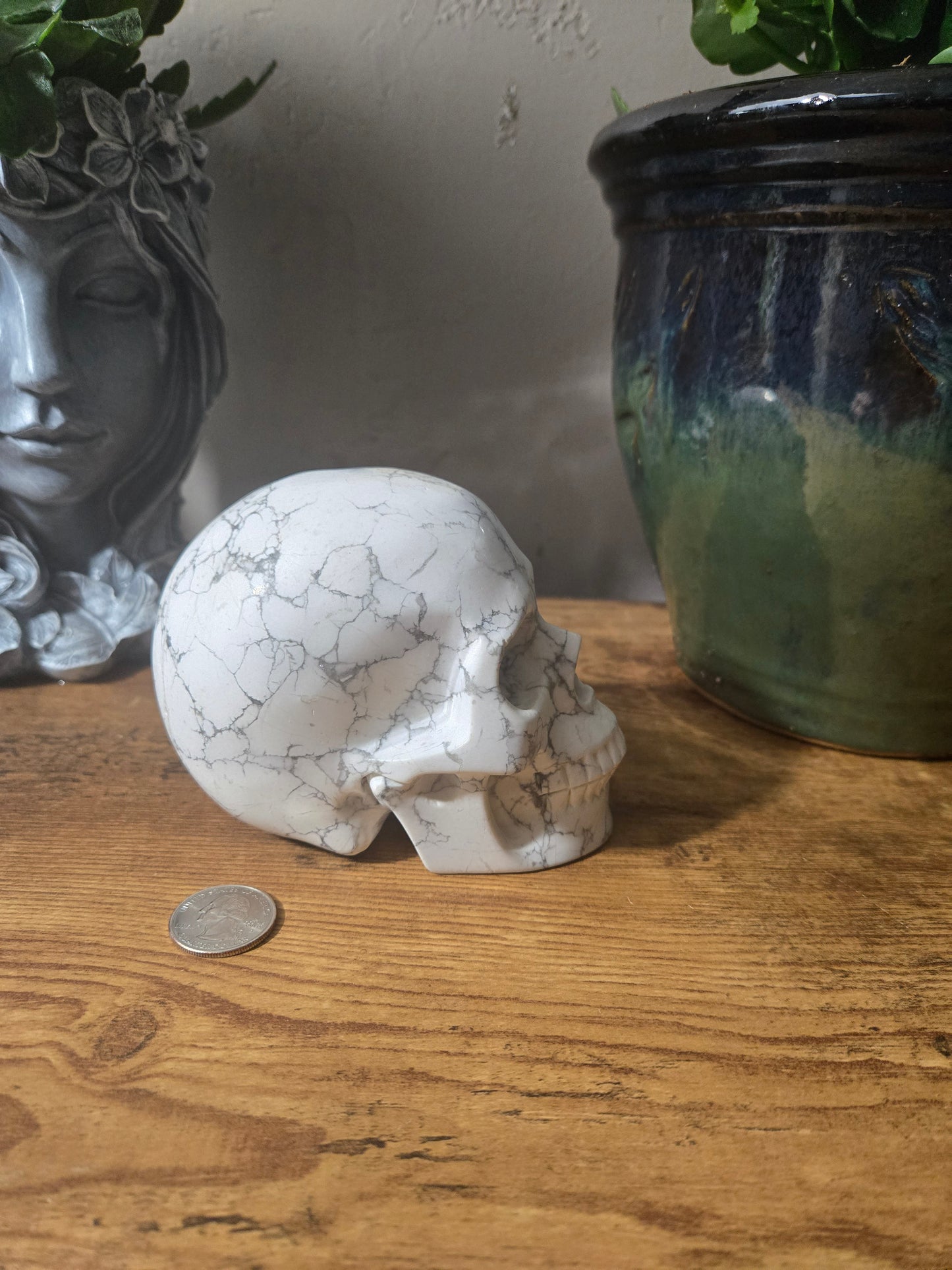 Howlite Skull