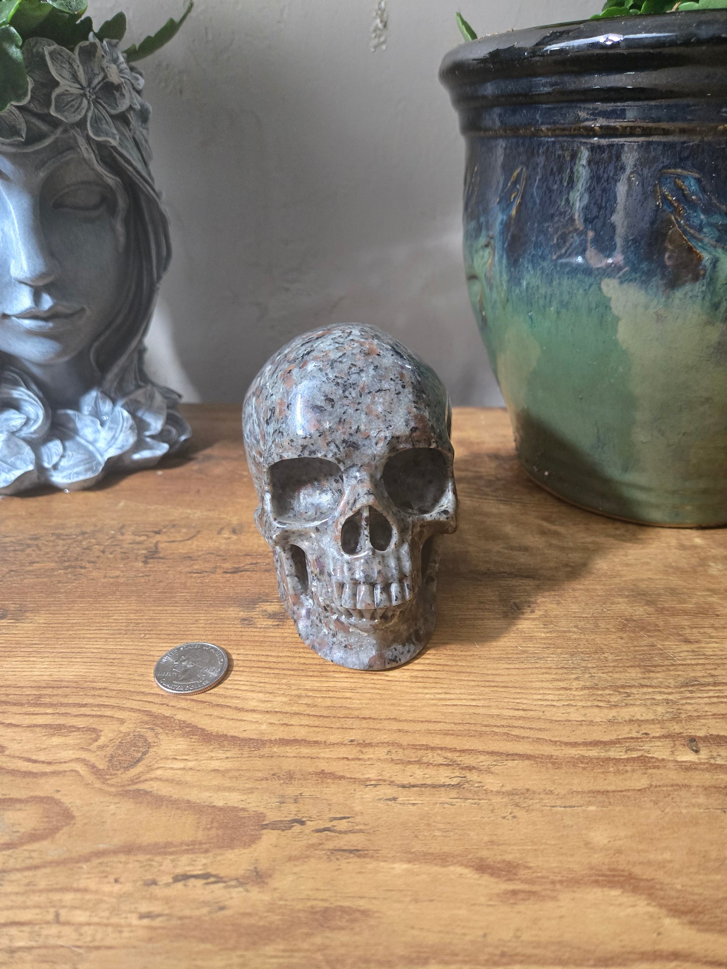 Yooperlite Skull
