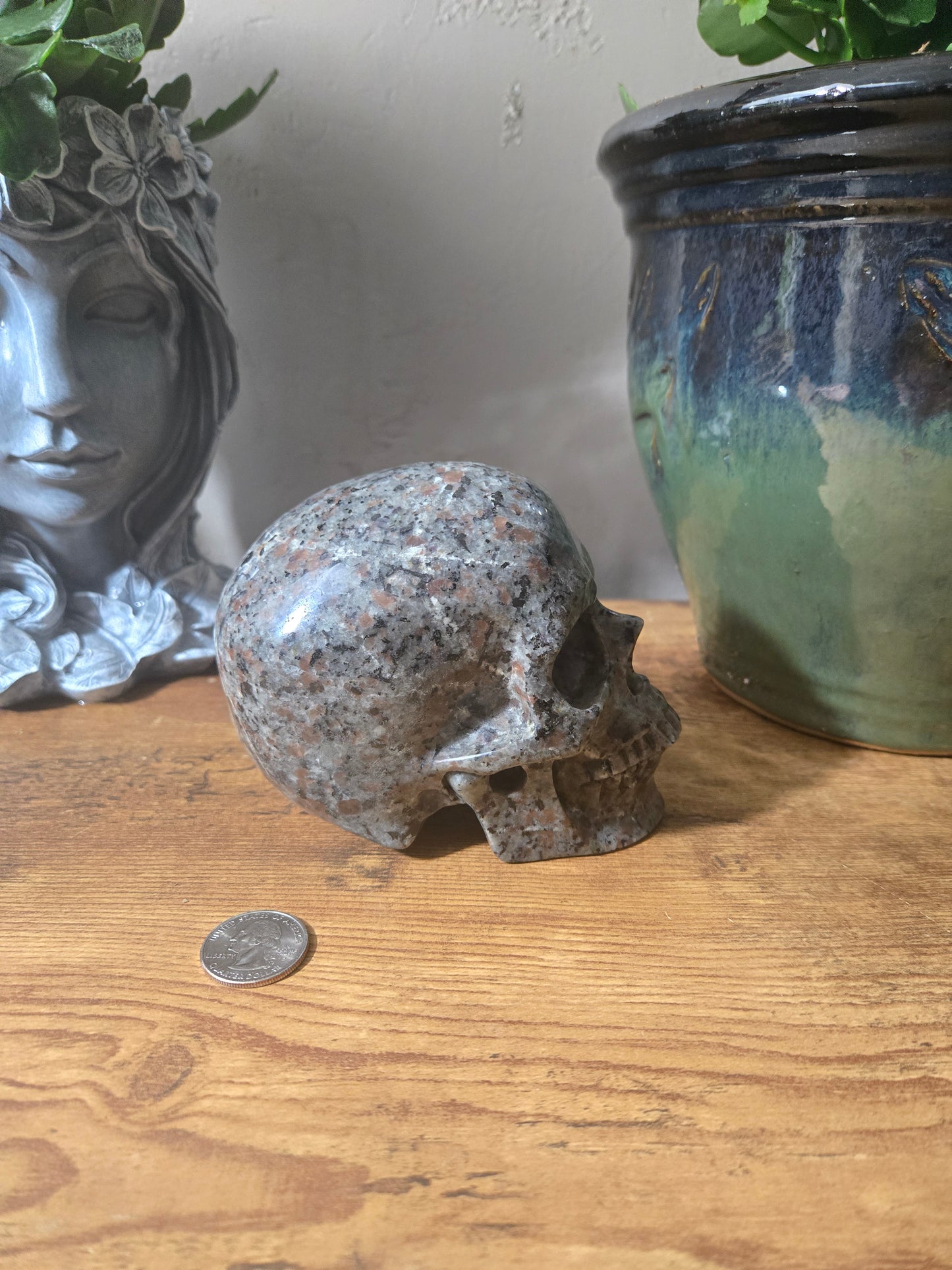 Yooperlite Skull