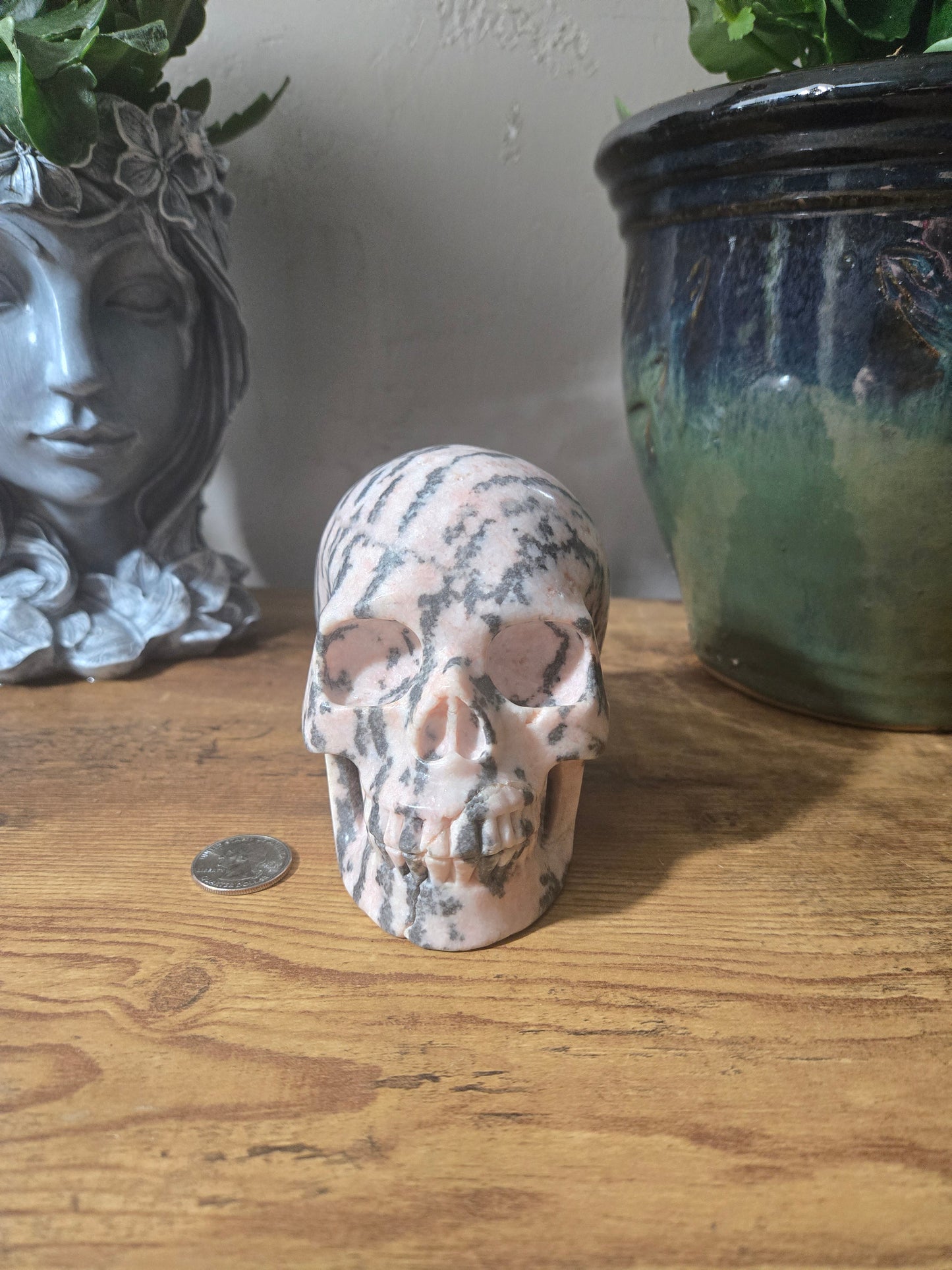 Pink Zebra Jasper Skull