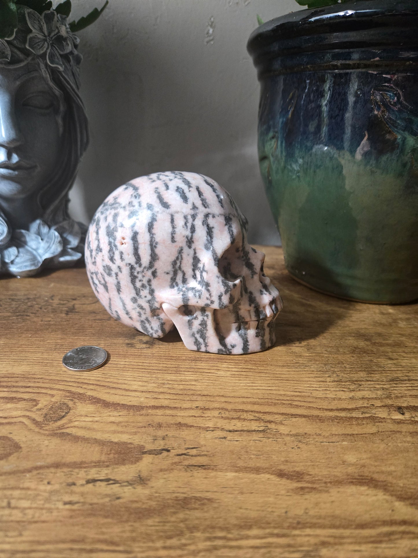 Pink Zebra Jasper Skull
