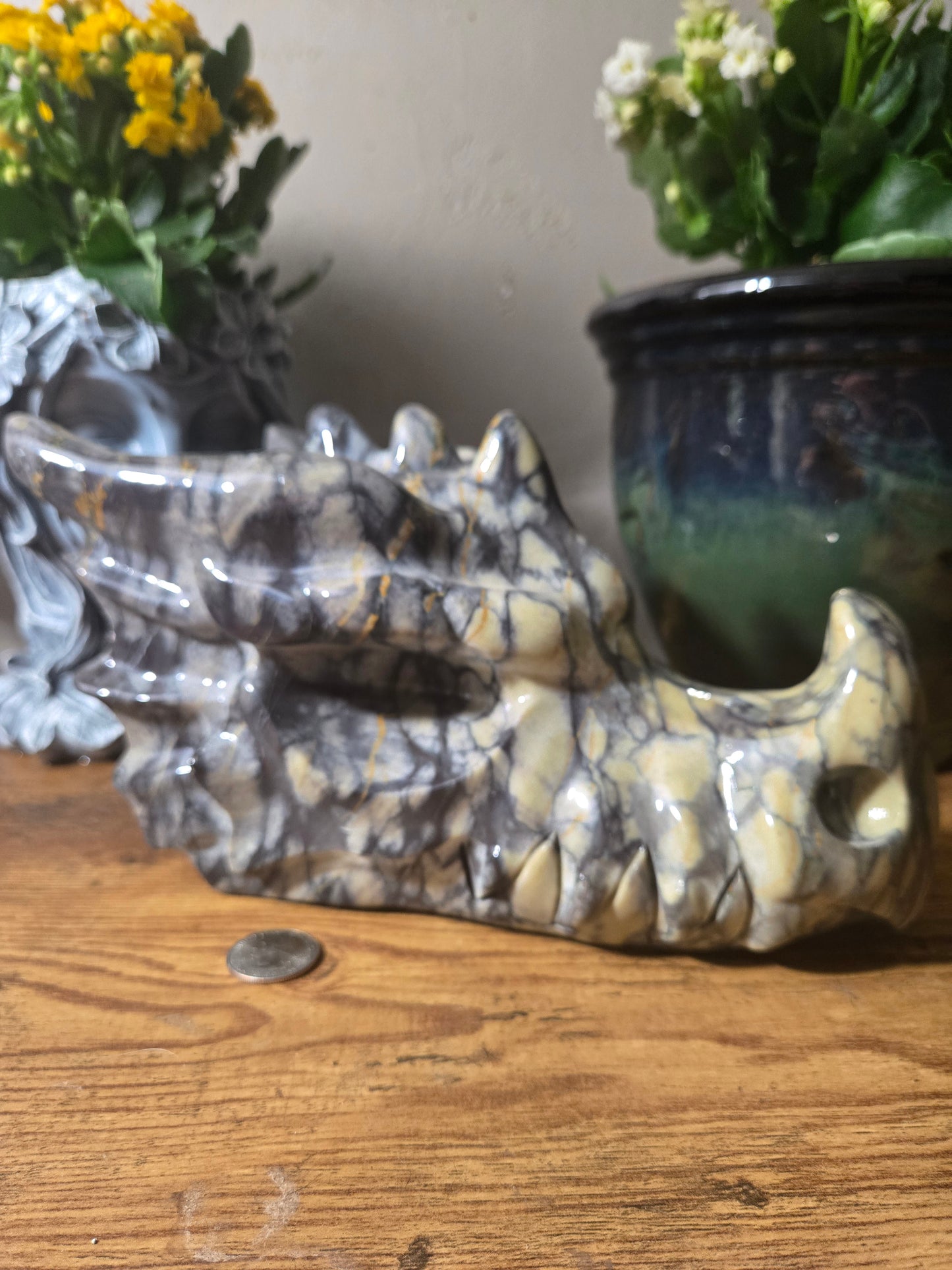 Spiderweb Jasper Dragon Skull