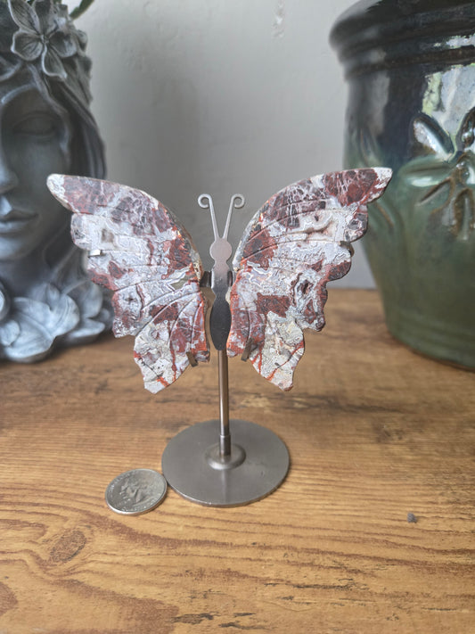 Crazy Lace Agate Butterfly Wings