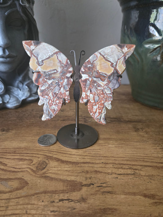 Crazy Lace Agate Butterfly Wings