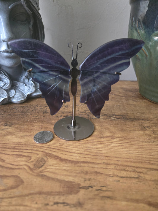 Rainbow Fluorite Butterfly Wings