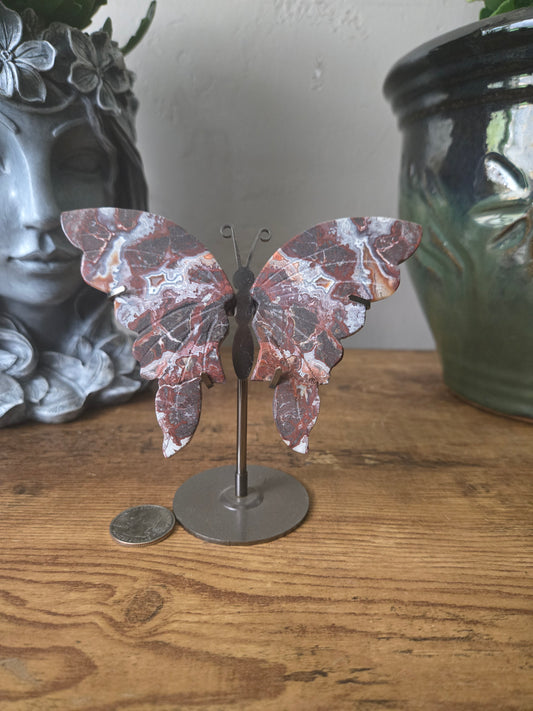 Crazy Lace Agate Butterfly Wings