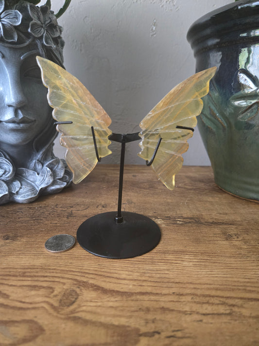 Yellow Fluorite Butterfly Wings