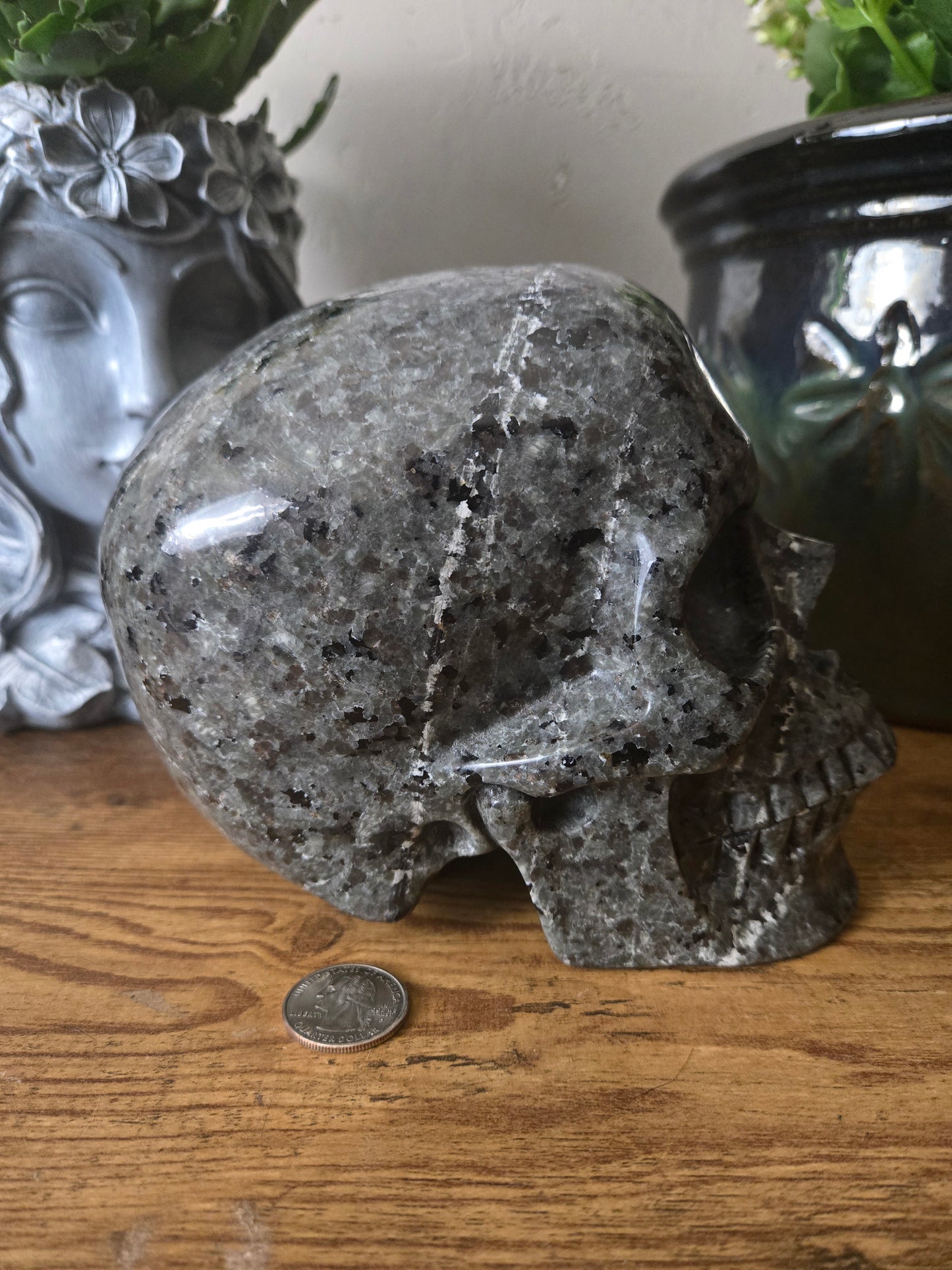 Yooperlite Large Skull