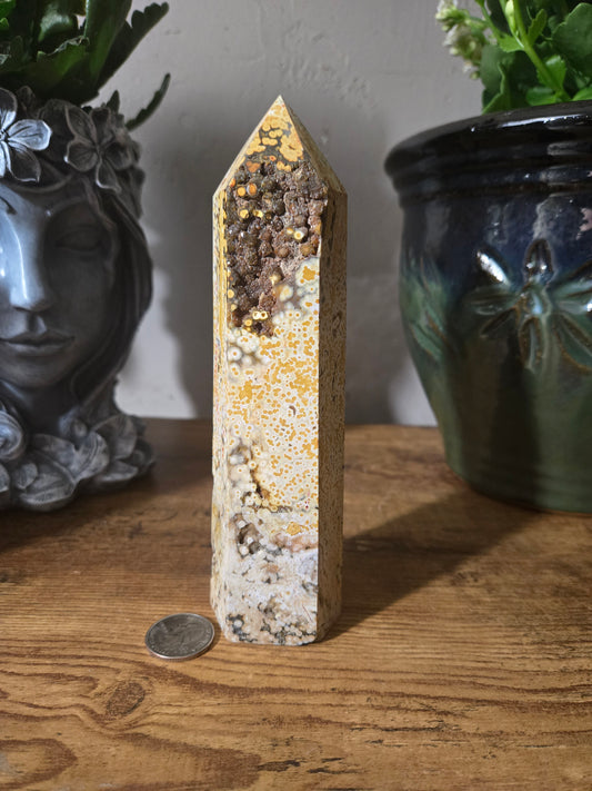 Ocean Jasper Tower