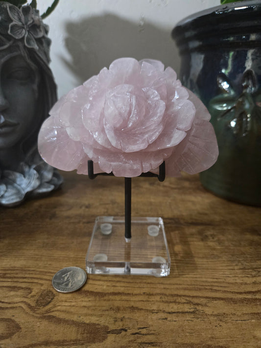 Rose Quartz Rose Carving