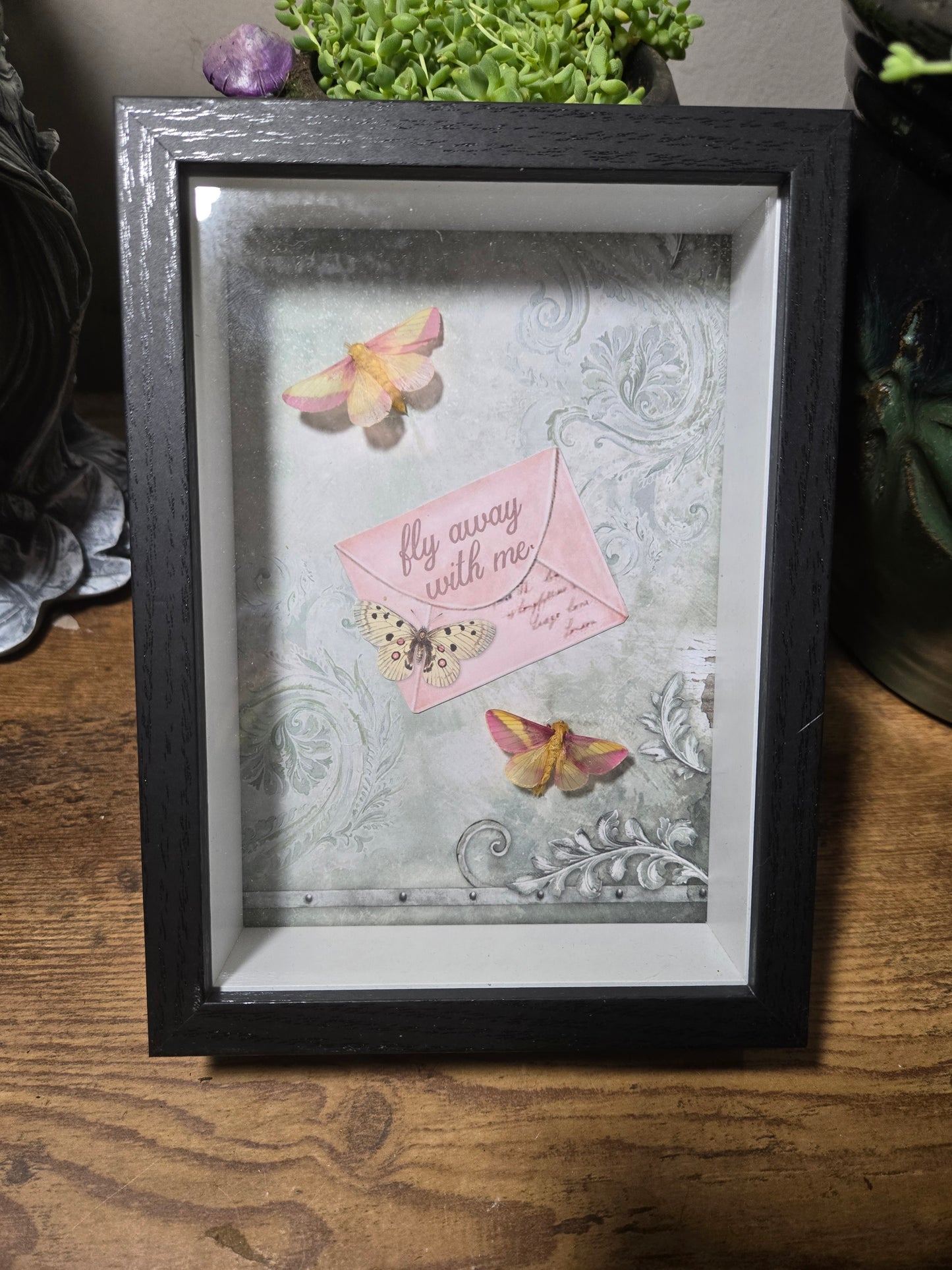 Rosy Maple Moth Shadow Box