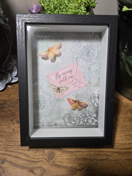 Rosy Maple Moth Shadow Box