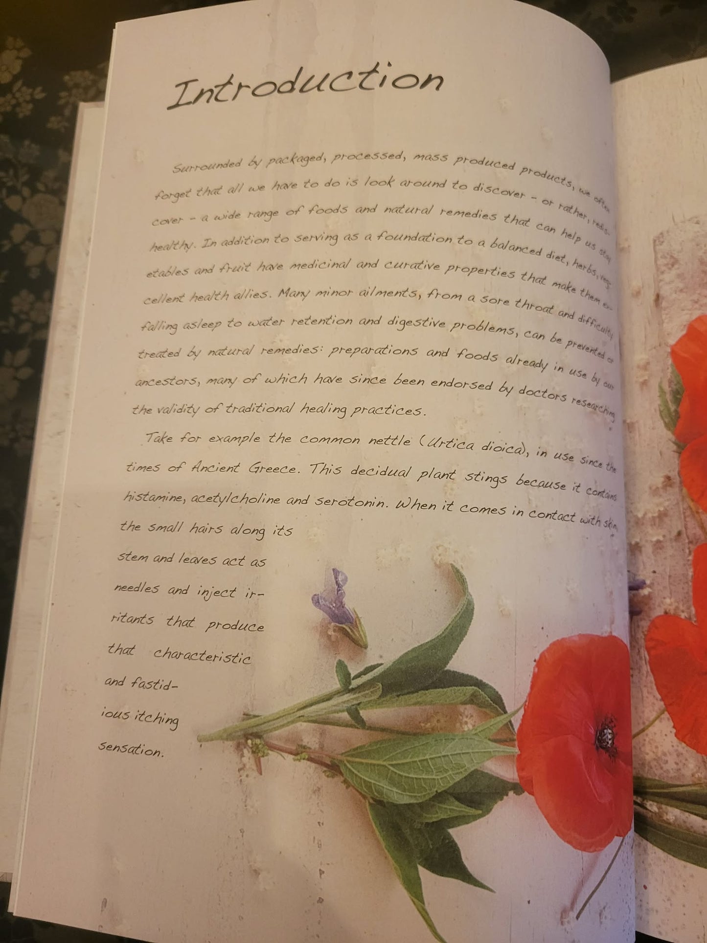 Herbs and Spices: Natural Alternatives For Healthy Living