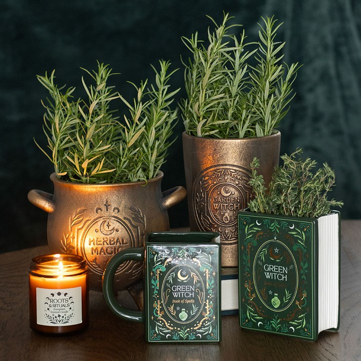 Herbal Magic Cauldron Terracotta Planter